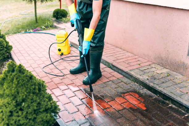 Best Window and Screen Pressure Cleaning in Hays, MT